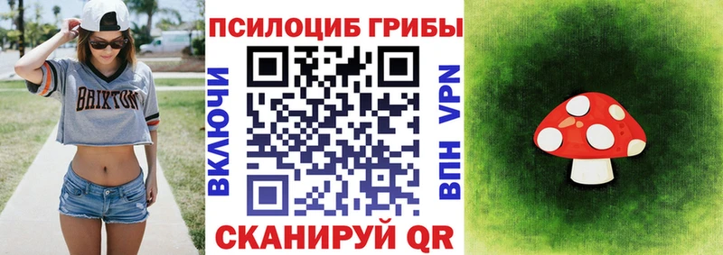 Псилоцибиновые грибы GOLDEN TEACHER  сколько стоит  гидра вход  Высоцк 