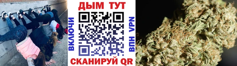 наркота блэк спрут tor Шишки марихуана конопля Высоцк